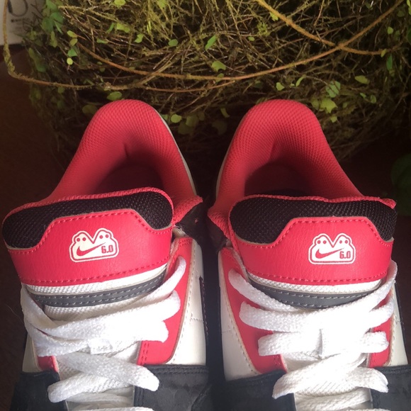 *SOLD* Nike 6.0 Version - Picture 12 of 12